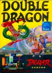 Carátula de Double Dragon V