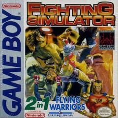 Carátula de 2 In 1: Flying Warriors / Fighting Simulator