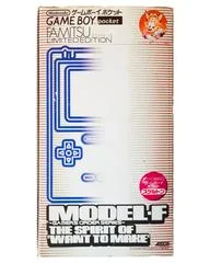 Carátula de Gameboy Pocket [Limited Edition Famitsu Skeleton Model-F]