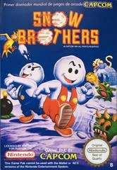 Carátula de Snow Brothers