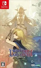 Carátula de Record of Lodoss War Deedit in Wonder Labyrinth