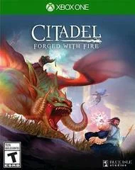 Carátula de Citadel: Forged with Fire