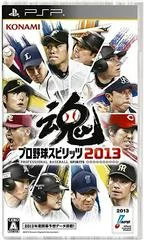 Carátula de Professional Baseball Spirits 2013