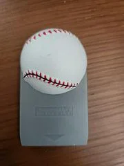 Carátula de Interac Baseball Memory Card